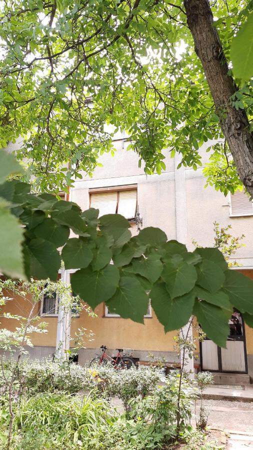 Anka Appartement Jagodina Buitenkant foto
